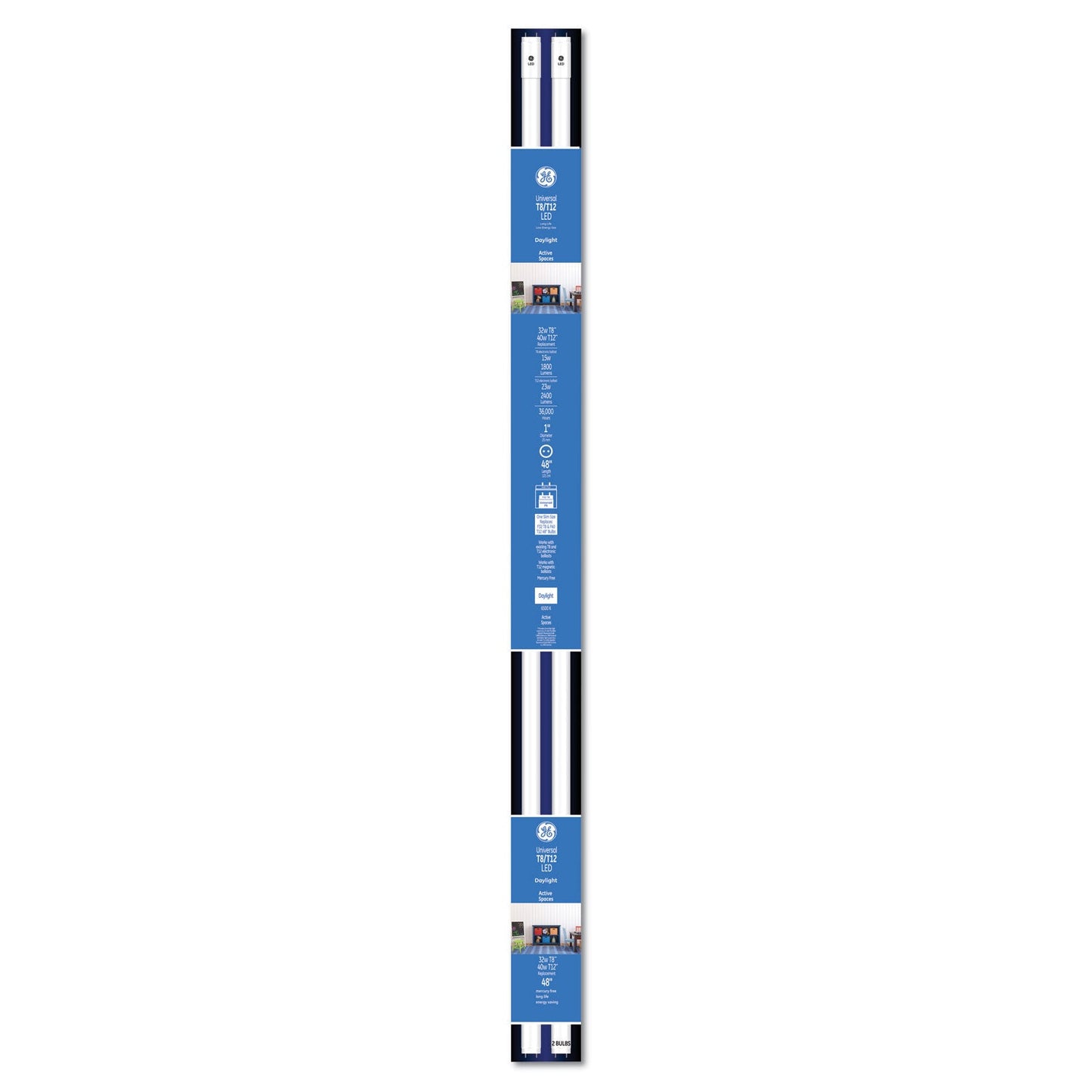 GE 48" T8/T12, 40 W, T8 Tube, Daylight, 6/Carton