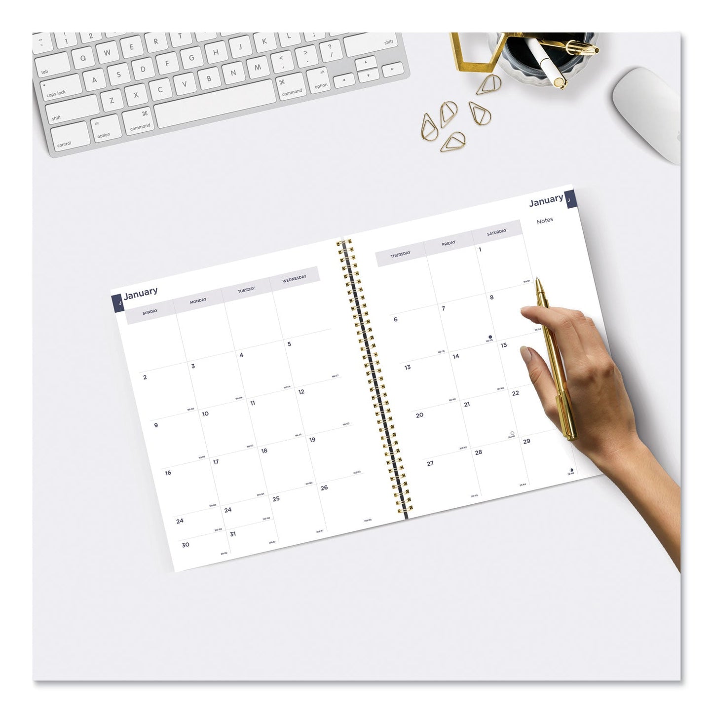 Blueline Monthly 14-Month Planner, Spring Floral Watercolor Artwork, 11 x 8.5, Multicolor Cover, 14-Month (Dec to Jan): 2022 to 2024