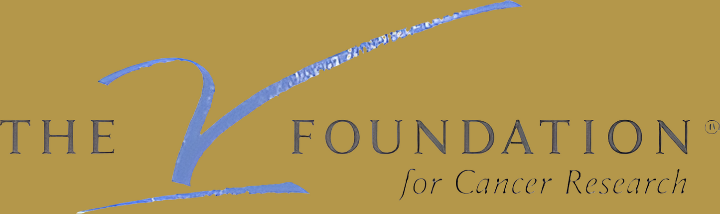 Donation to The V Foundation