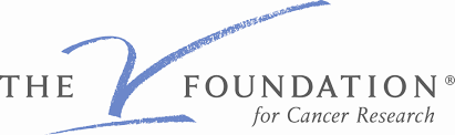 Donation to The V Foundation