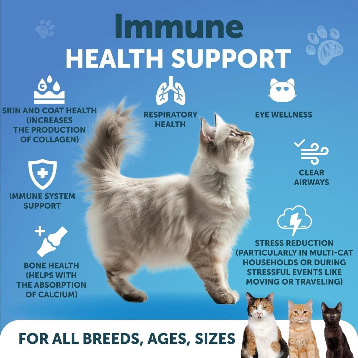 Lysine for Cats 900 mg  Lysine Powder for Cats  Eye & Respiratory Health