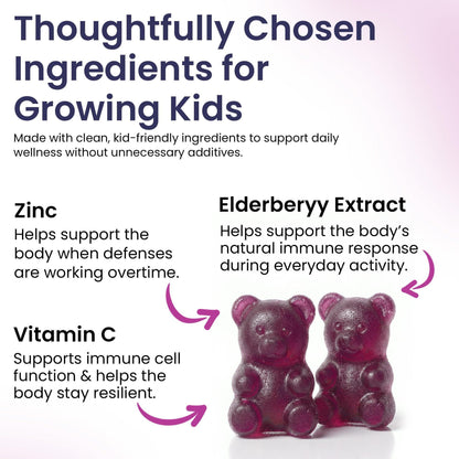 Elderberry Gummies for Kids  3 in 1 Immune Support with Zinc & Vitamin C   Kids Elderberry Gummies for Daily Immunity  Vegan Formula for Strong Immune Health   60 Count