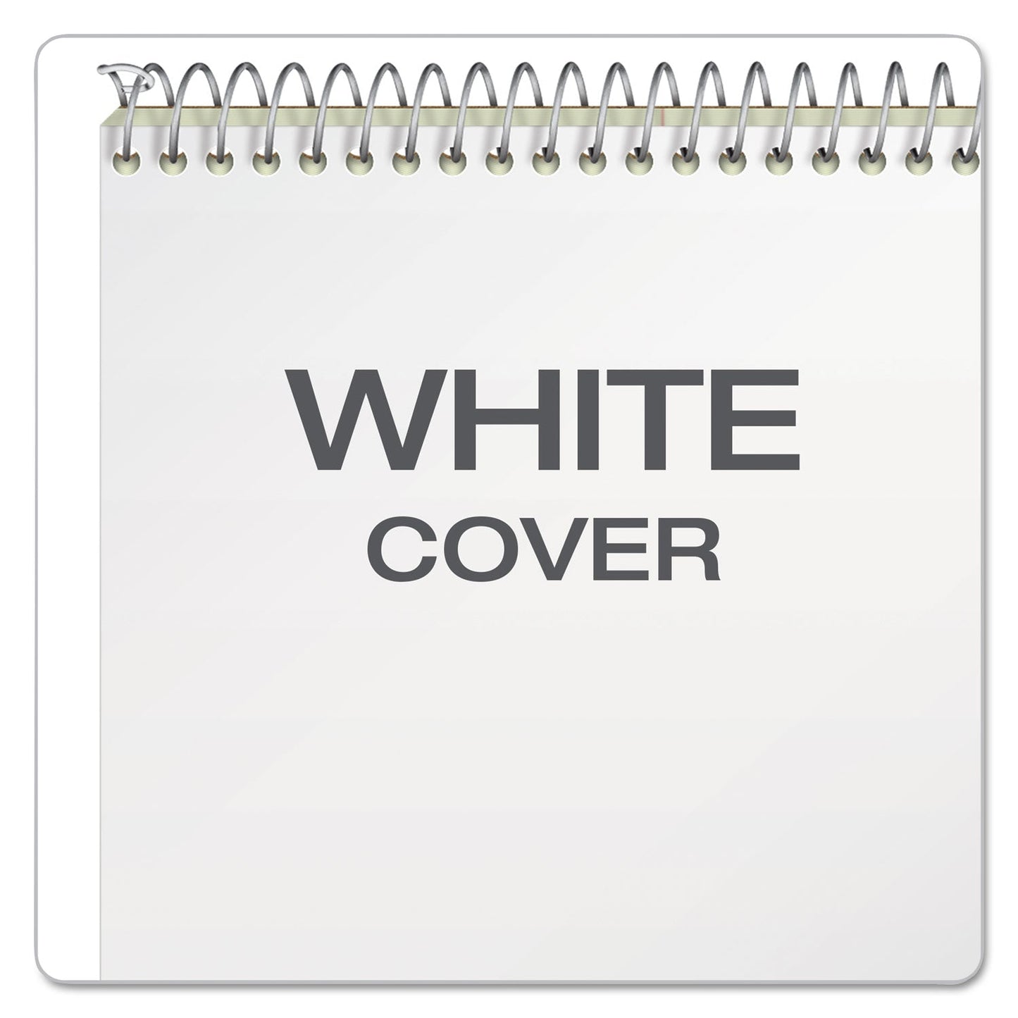 Ampad Steno Pads, Gregg Rule, Tan Cover, 60 Green-Tint 6 x 9 Sheets