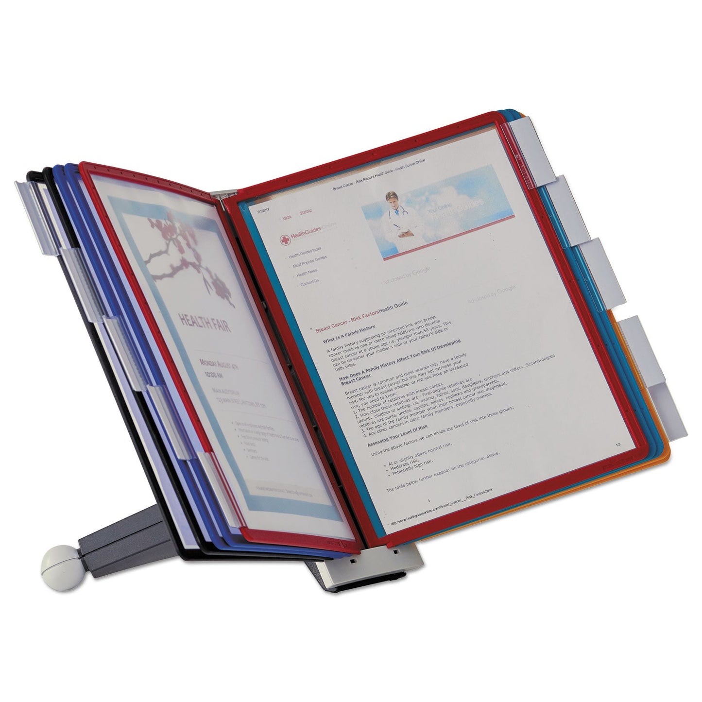 Durable SHERPA Desk Reference System, 10 Panels, 10 x 5.63 x 13.88, Assorted Borders