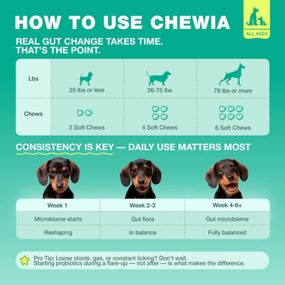 Probiotics for Dogs Gut & Digestive Health, Itchy Skin & Yeast Support