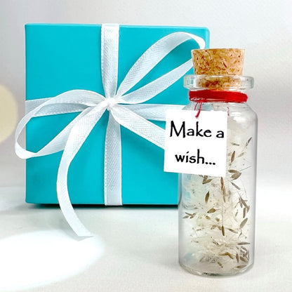 Tiny Magical Message in a Bottle Gift Idea Classy Inspirational Gifts for Him and Her Unique Presents for Women and Men (White Dandelion Make a Wish in Teal Gift Box)