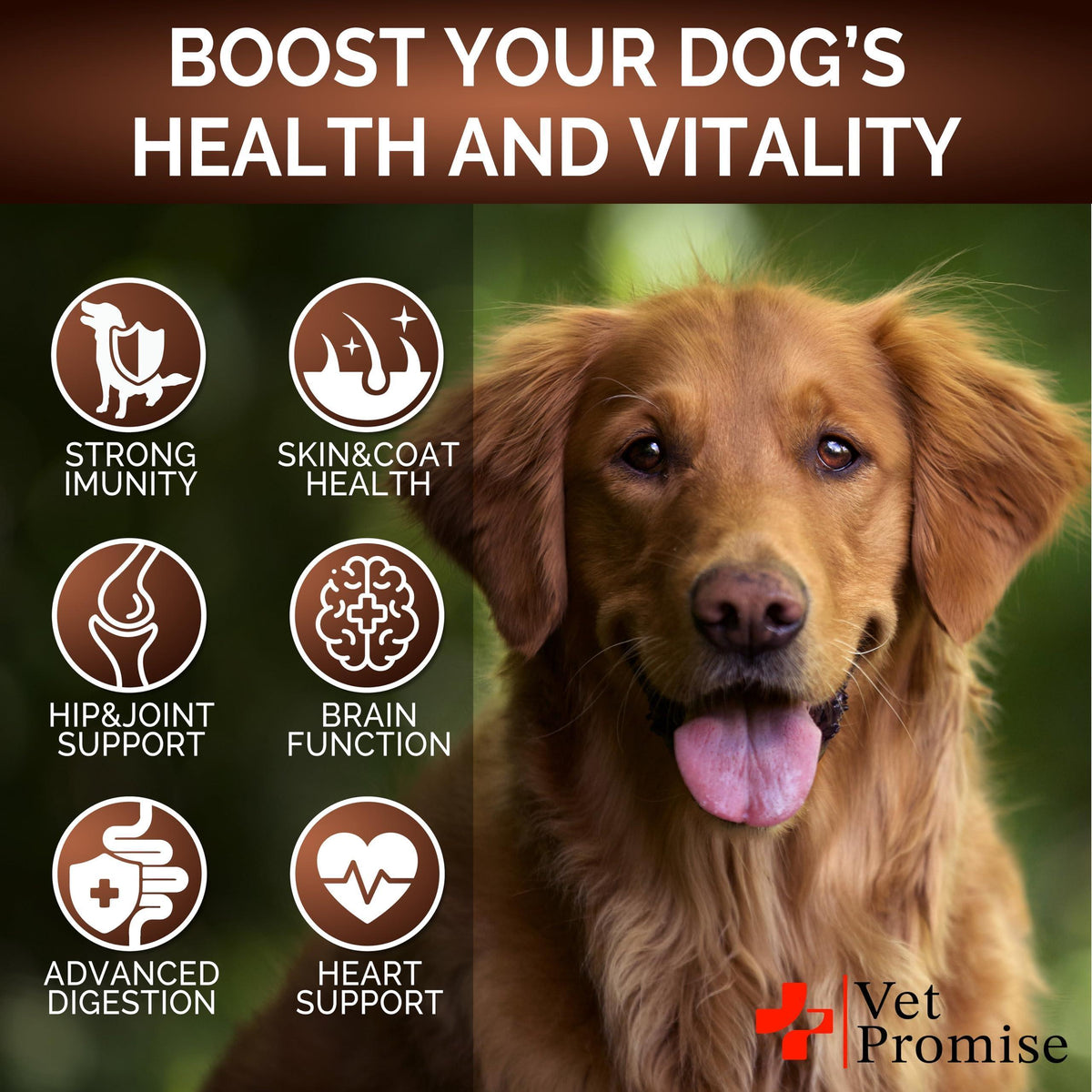 (2 Pack) Mushroom for Dogs   340 Chews   Turkey Tail   Mushroom Supplement for Dogs   Lions Mane   Reishi   Immunity Support Multivitamin Vitamins   Joint Health   Energy   Gut   Skin   Made in USA