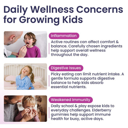 Elderberry Gummies for Kids  3 in 1 Immune Support with Zinc & Vitamin C   Kids Elderberry Gummies for Daily Immunity  Vegan Formula for Strong Immune Health   60 Count