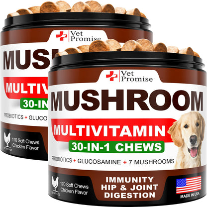(2 Pack) Mushroom for Dogs   340 Chews   Turkey Tail   Mushroom Supplement for Dogs   Lions Mane   Reishi   Immunity Support Multivitamin Vitamins   Joint Health   Energy   Gut   Skin   Made in USA