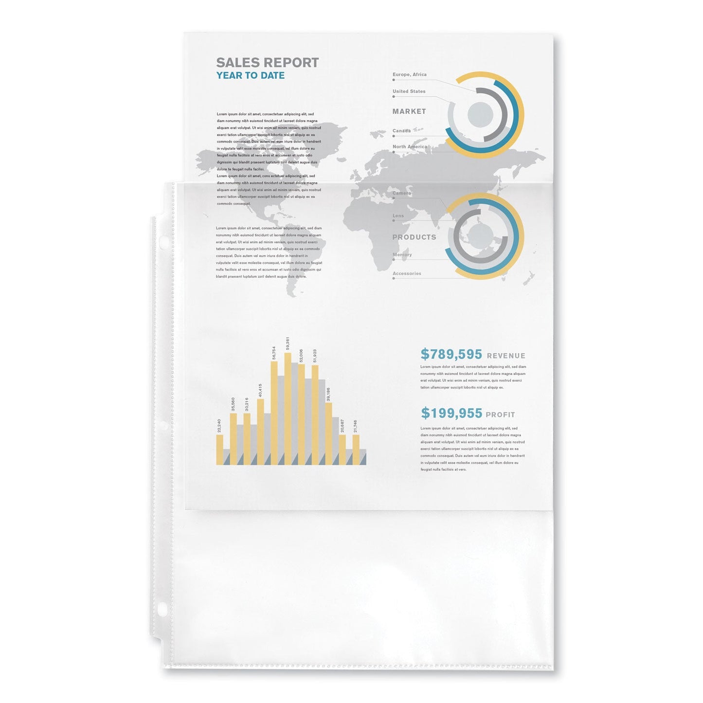 Avery Top-Load Sheet Protector, Economy Gauge, Letter, Clear, 50/Box