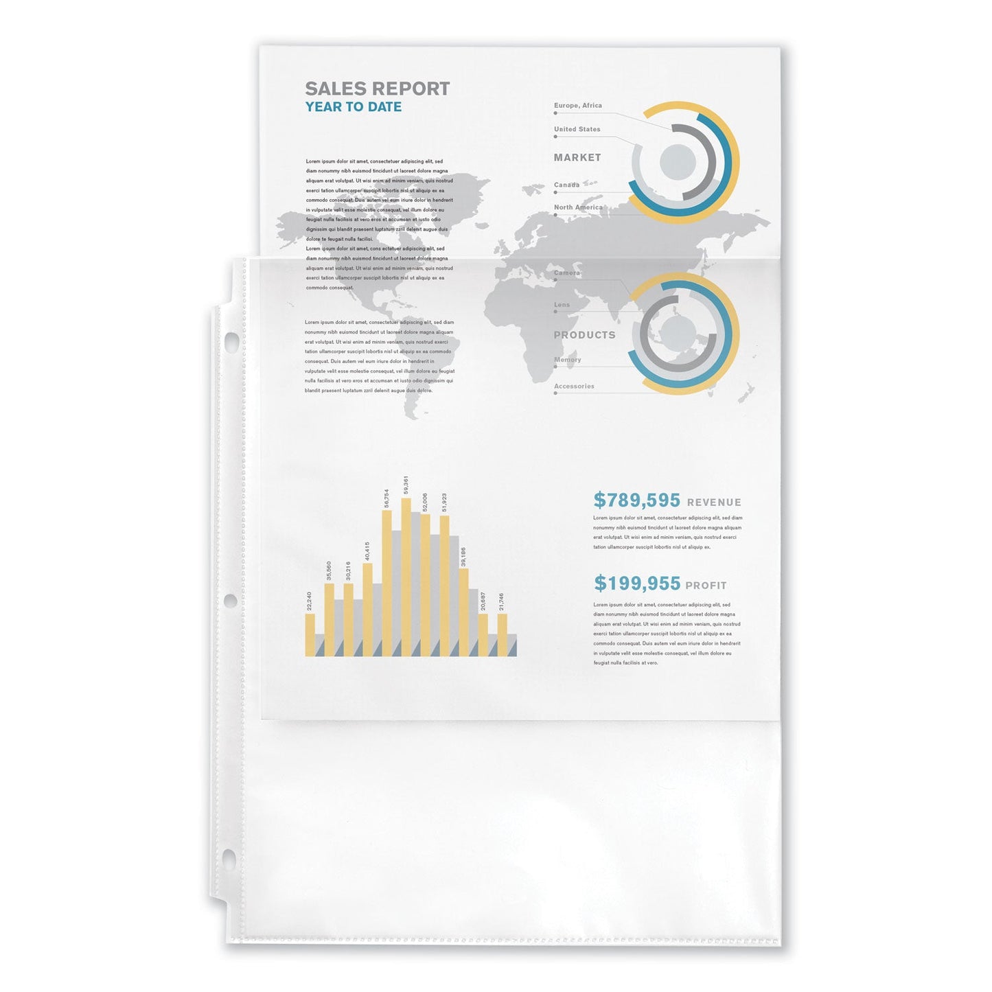 Avery Top-Load Sheet Protector, Economy Gauge, Letter, Clear, 100/Box