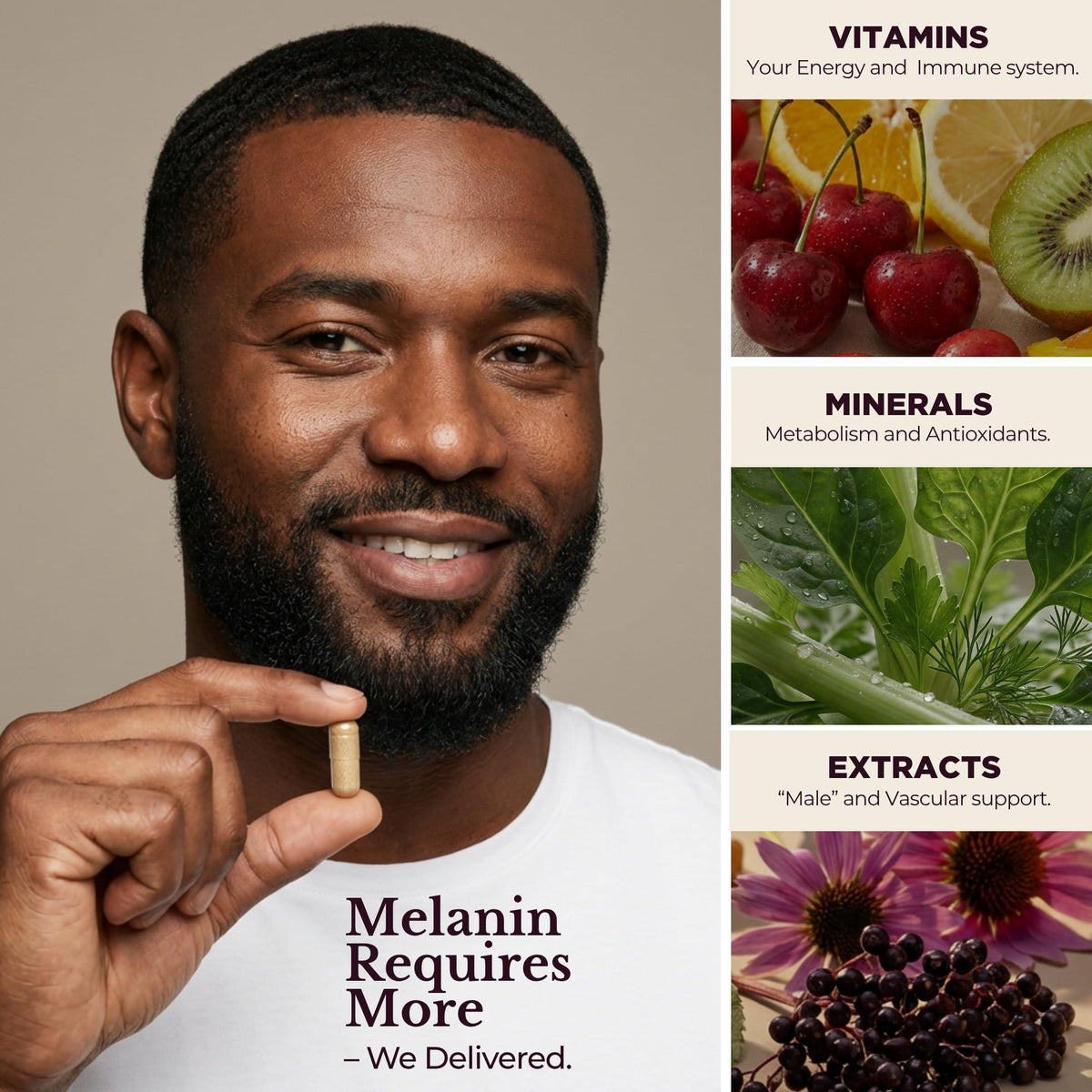 Melanin Rich Multivitamin for Men   Mens Daily Multivitamins Men's Multivitamin Capsules with B Complex Vitamins Vitamin D Zinc Saw Palmetto & Antioxidants 2 a Day 60 Capsules