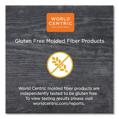 World Centric Fiber Trays, School Tray, 5-Compartments, 8.5 x 10.5 x 1, Natural, Paper, 400/Carton