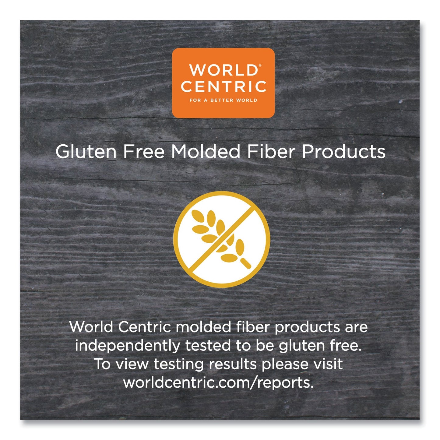 World Centric Fiber Hinged Burger Box Containers, 6 x 6 x 3, Natural, Paper, 500/Carton