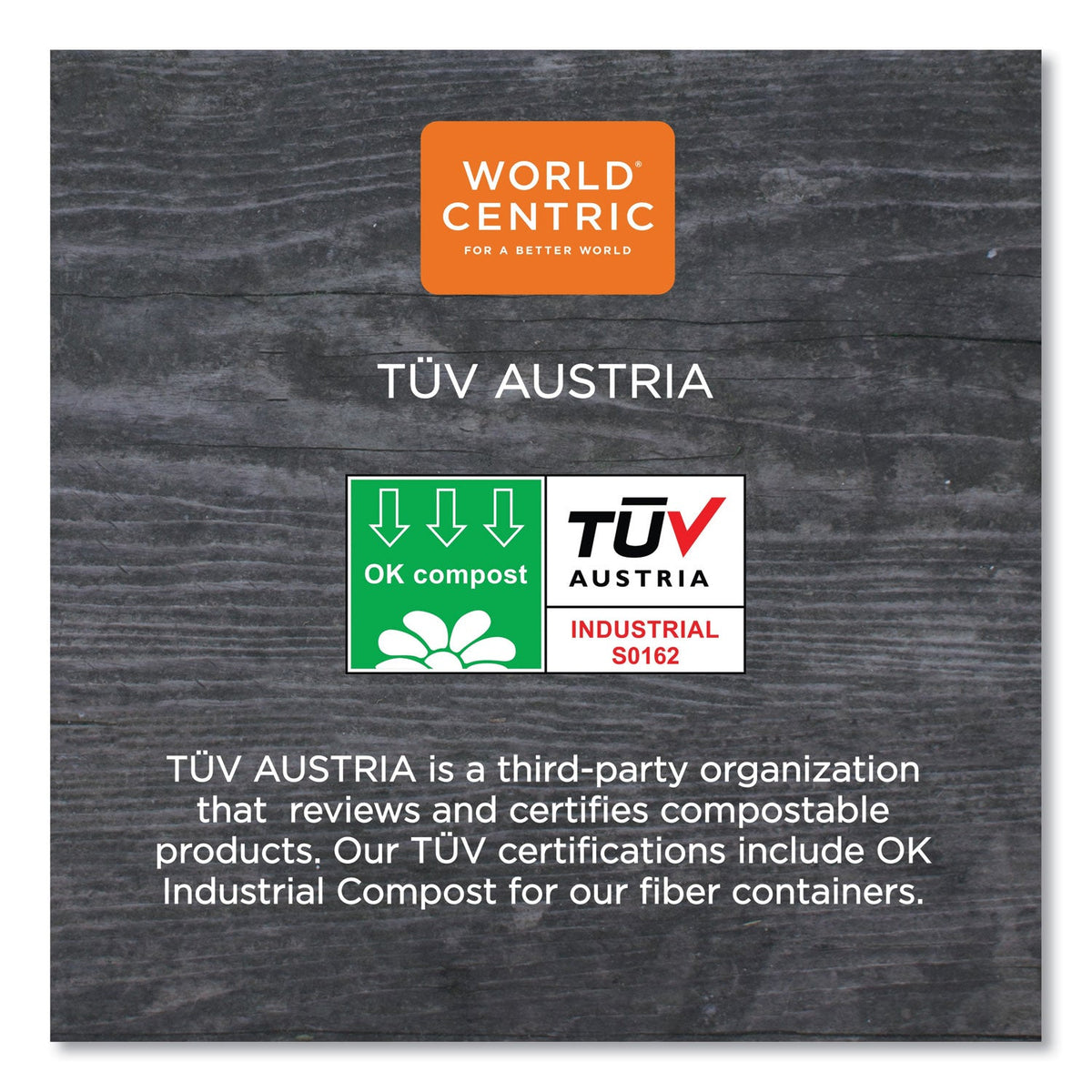 World Centric Fiber Hinged Containers, 3-Compartment, 8 x 8 x 3, Natural, Paper, 300/Carton