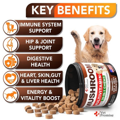 (2 Pack) Mushroom for Dogs   340 Chews   Turkey Tail   Mushroom Supplement for Dogs   Lions Mane   Reishi   Immunity Support Multivitamin Vitamins   Joint Health   Energy   Gut   Skin   Made in USA