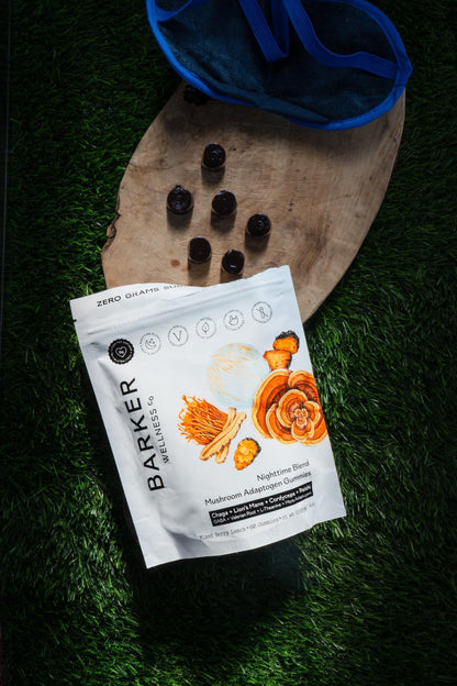 Nighttime Mushroom Adaptogen Gummies   Sugar Free Vegan Blend with Reishi Lion’s Mane Cordyceps Chaga   Relaxation & Sleep Support   60 Gummies