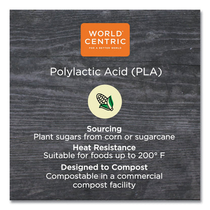World Centric PLA Rectangular Deli Container Lids, 4.8 x 5.9 x 0.3, Clear, Plastic, 900/Carton