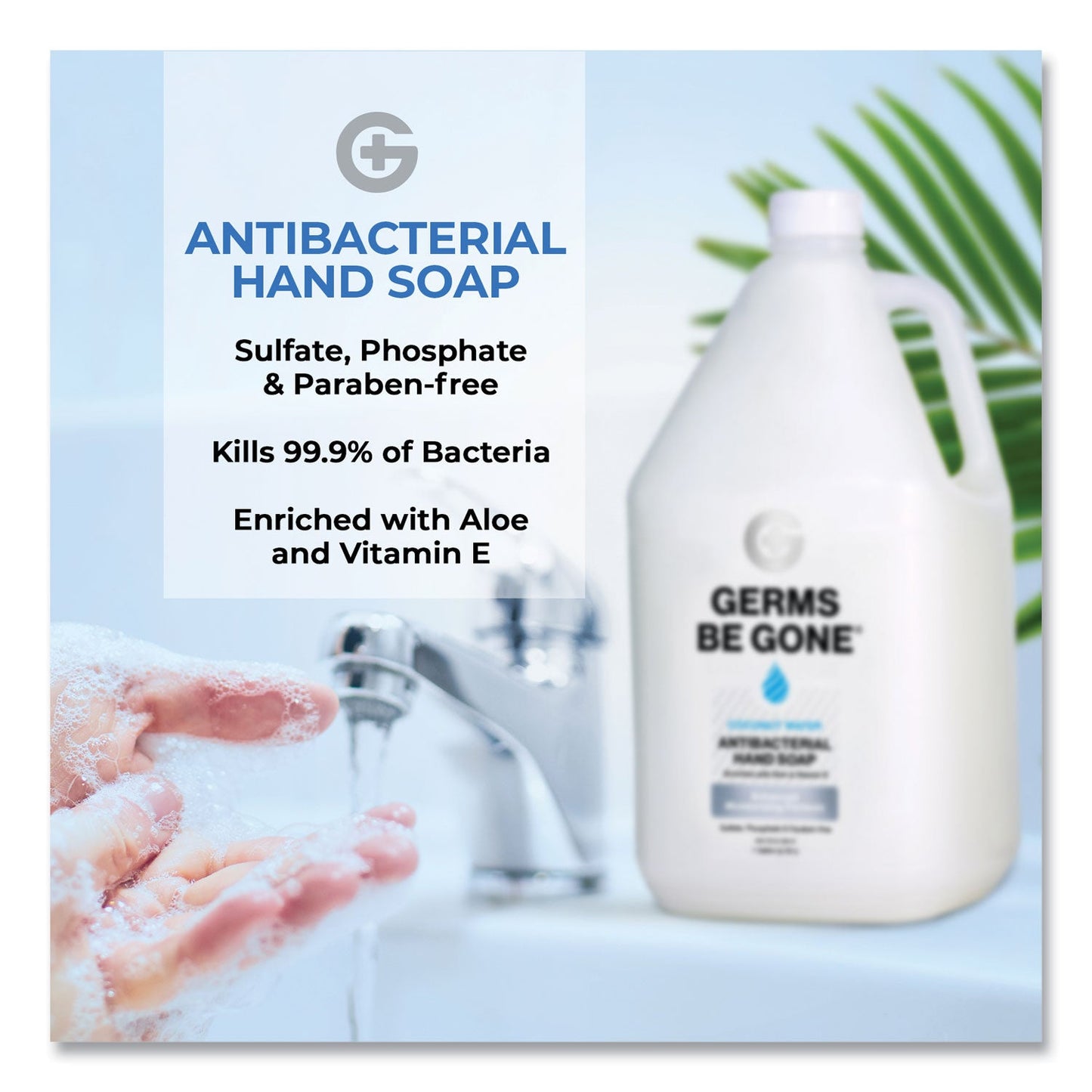 Germs Be Gone Antibacterial Hand Soap, Aloe, 1 gal Cap Bottle