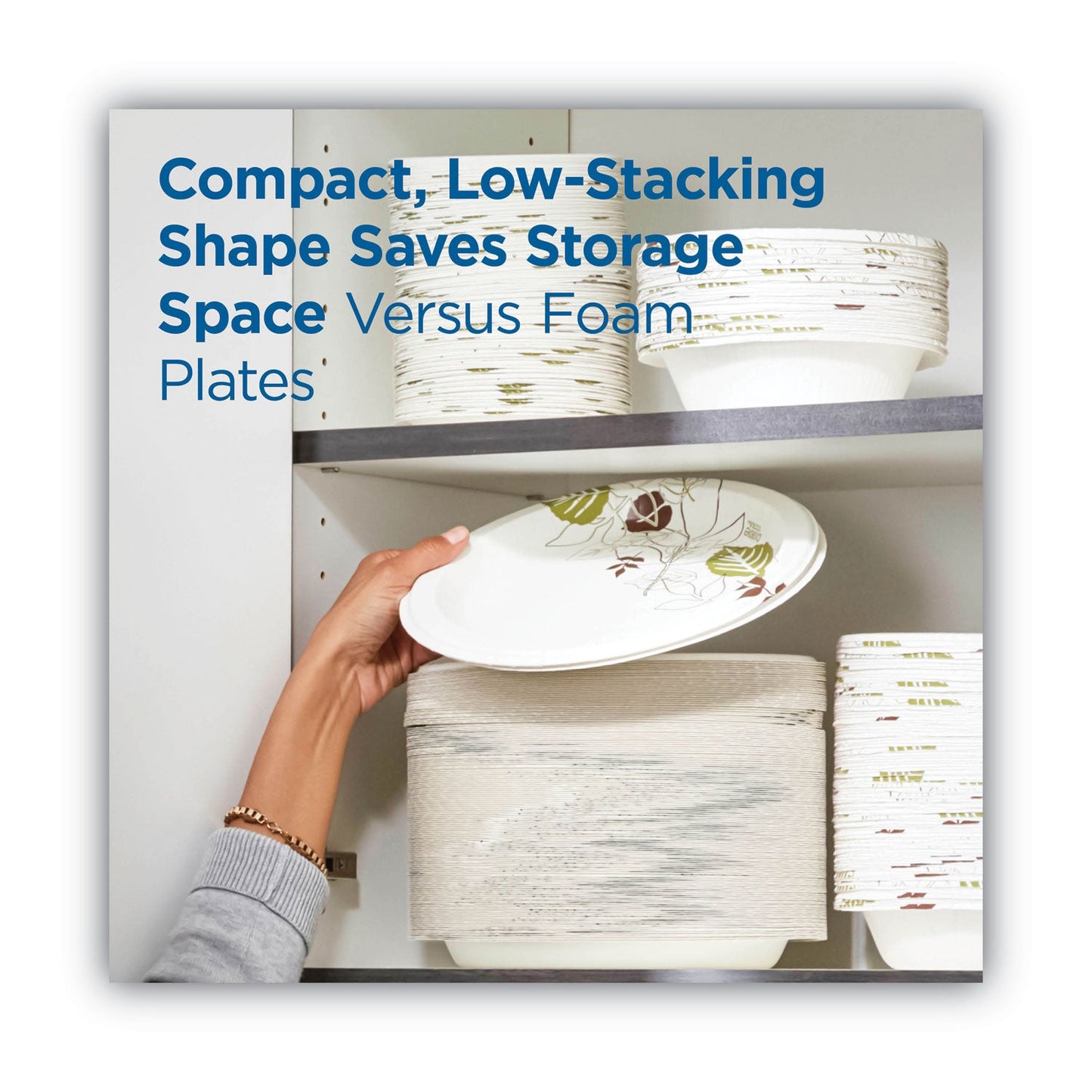 Dixie Pathways Soak-Proof Shield Mediumweight Paper Plates, WiseSize, 8.5" dia, Green/Burgundy, 125/Pack