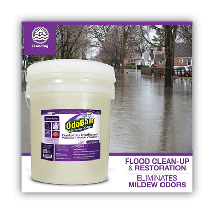 OdoBan Concentrated Odor Eliminator and Disinfectant, Lavender Scent, 5 gal Pail