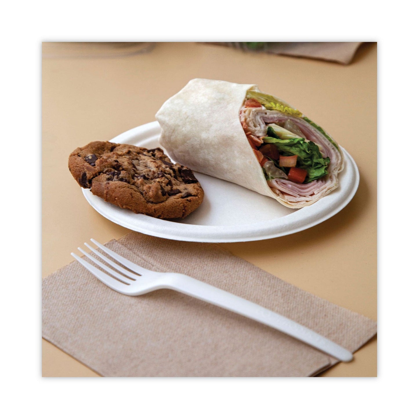 Eco-Products Renewable and Compostable Sugarcane Dinnerware, Plate, 10" dia, Natural White, 50/Pack