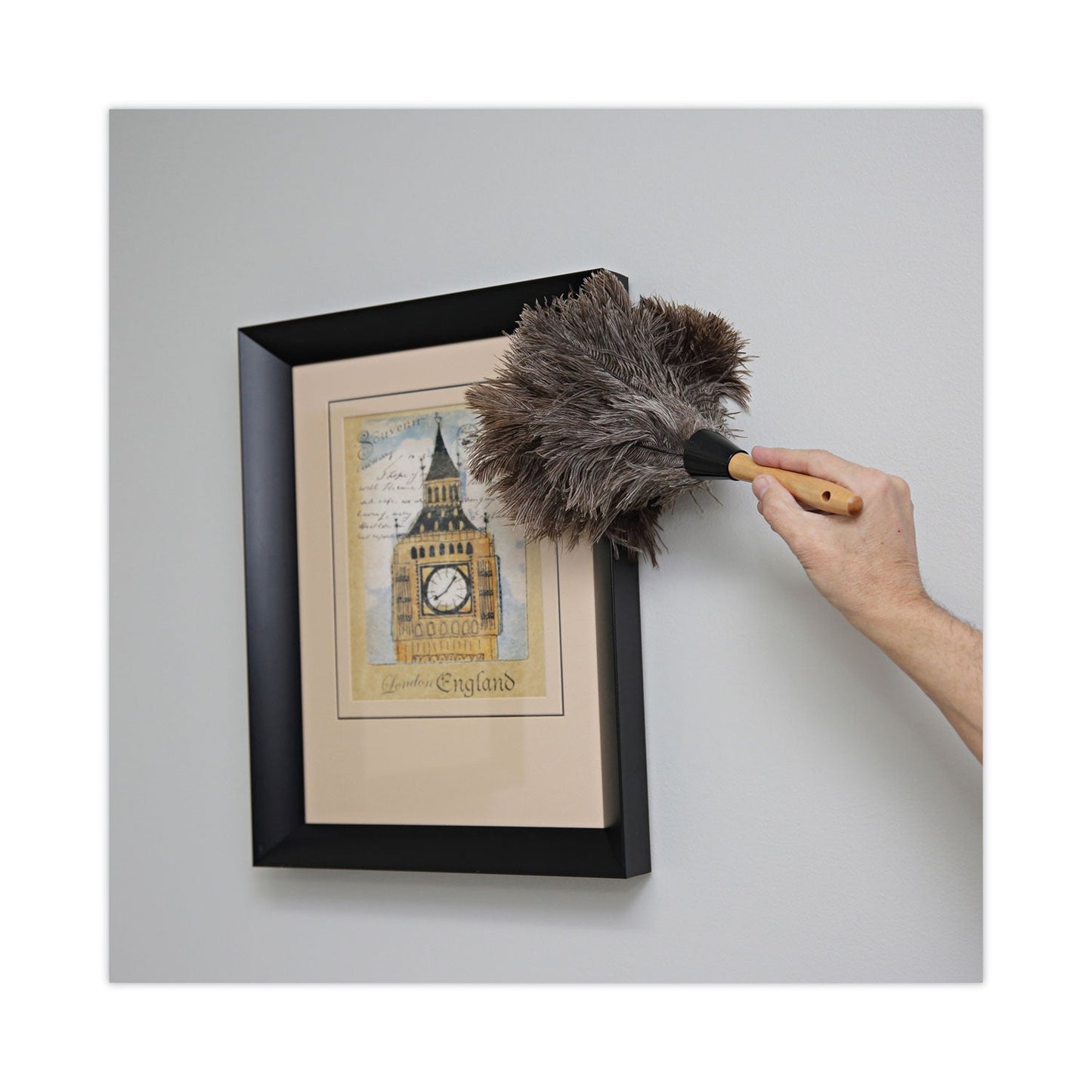 Boardwalk Professional Ostrich Feather Duster, 4" Handle