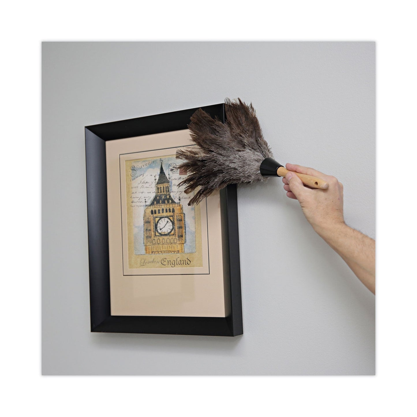 Boardwalk Professional Ostrich Feather Duster, Gray, 14" Length, 6" Handle