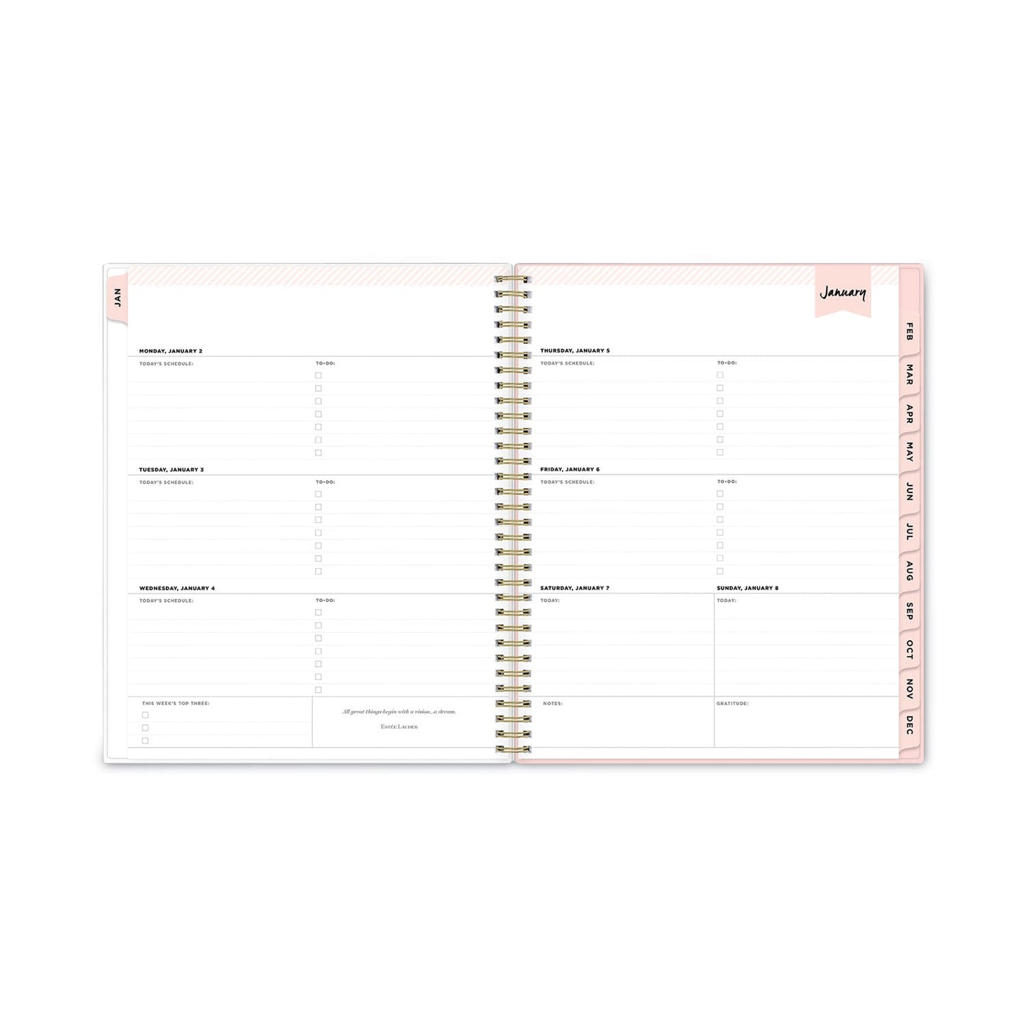Blue Sky Day Designer Coming Up Roses Create-Your-Own Cover Weekly/Monthly Planner, 11 x 8.5, 12-Month (Jan to Dec): 2023