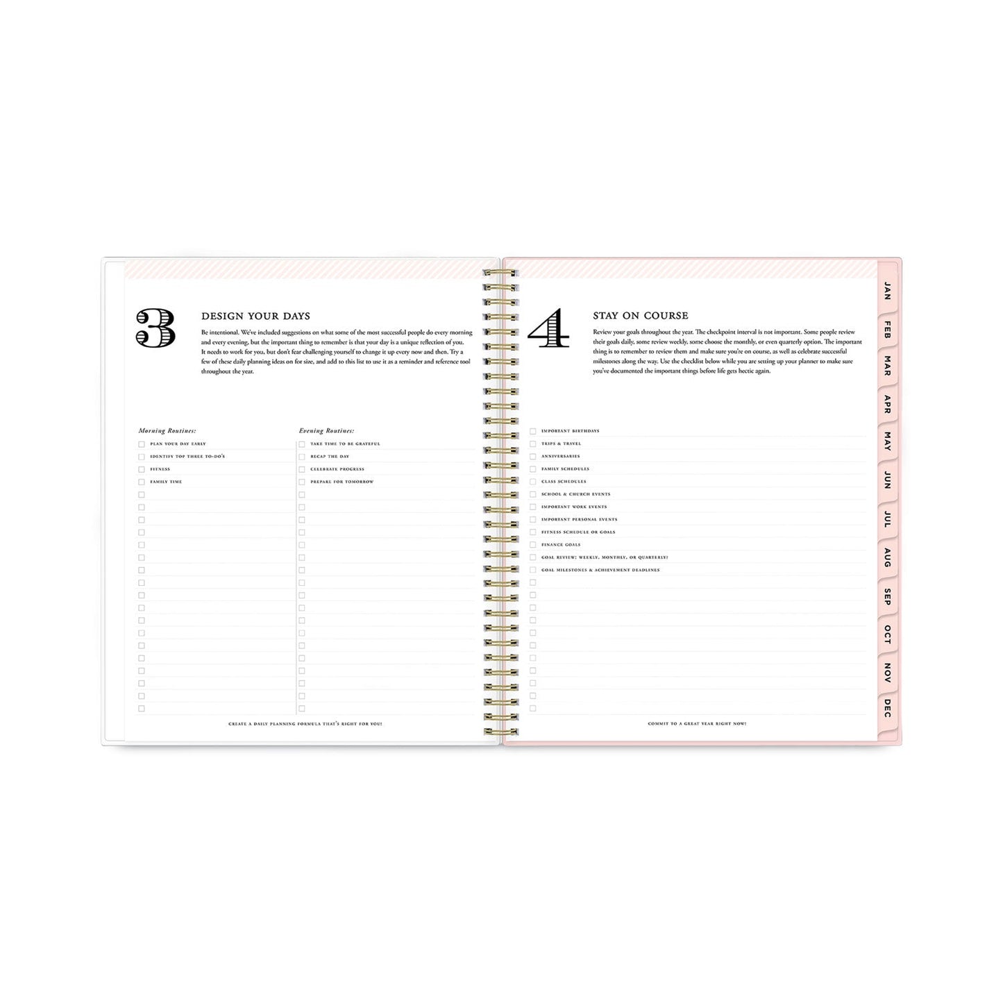 Blue Sky Day Designer Coming Up Roses Create-Your-Own Cover Weekly/Monthly Planner, 11 x 8.5, 12-Month (Jan to Dec): 2023