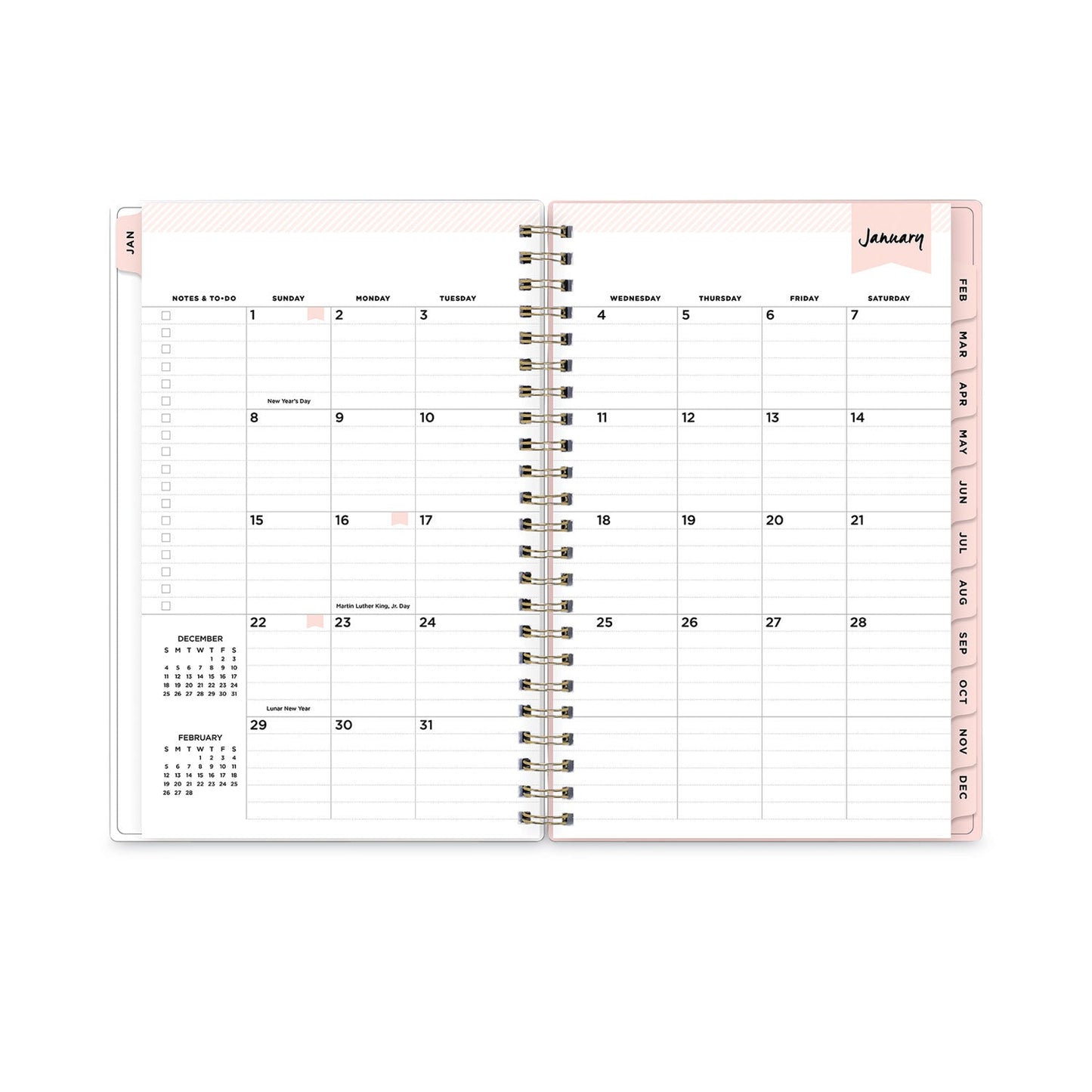 Blue Sky Day Designer Coming Up Roses Create-Your-Own Cover Weekly/Monthly Planner, 8 x 5, 12-Month (Jan to Dec): 2023