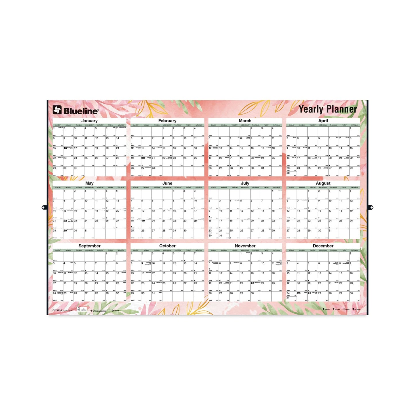 Blueline Yearly Laminated Wall Calendar, Autumn Leaves Watercolor Artwork, 36 x 24, White/Sand/Orange Sheets, 12-Month (Jan-Dec): 2023