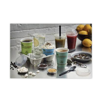 Pactiv Evergreen EarthChoice Compostable Paper Cup, 12 oz, Teal, 1,000/Carton