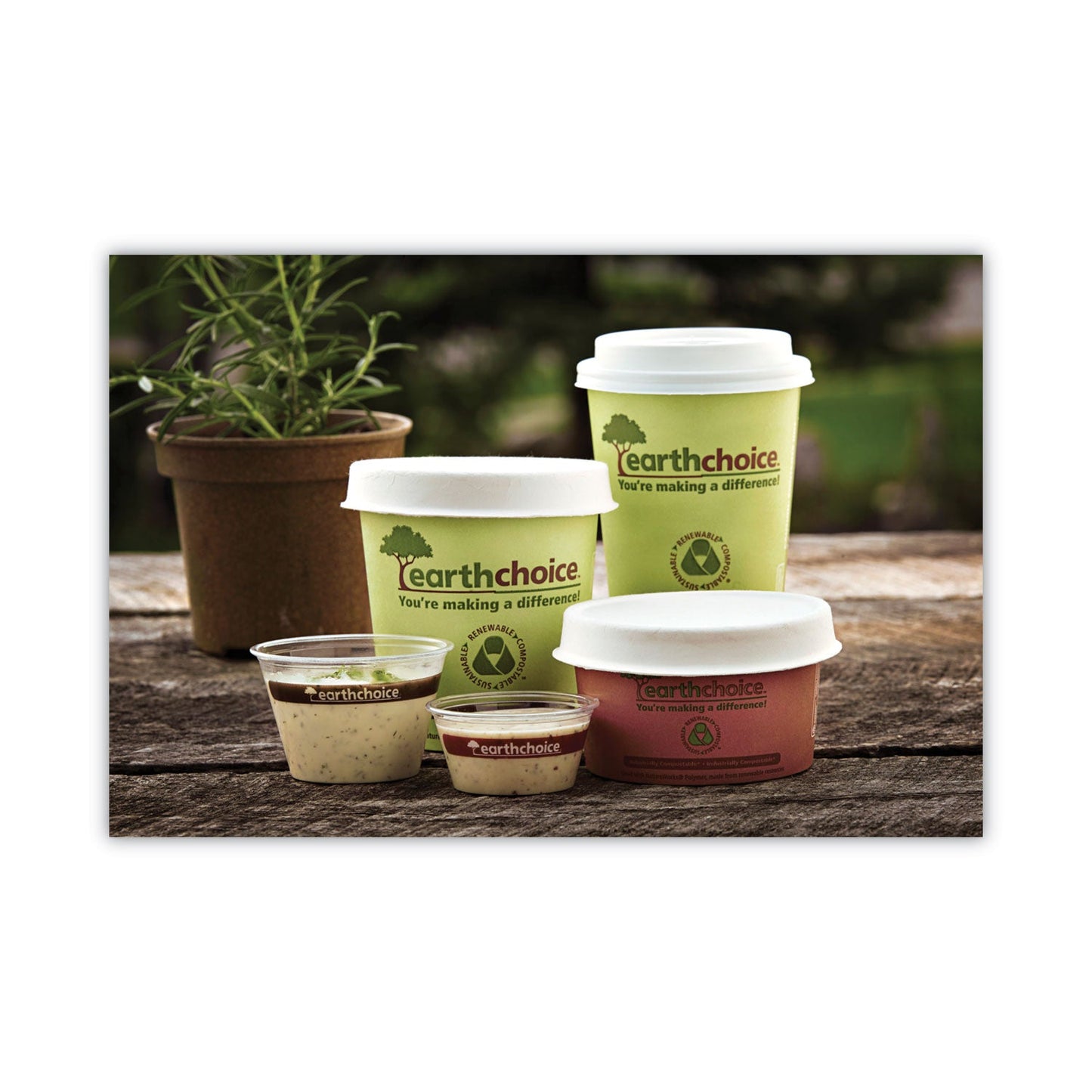 Pactiv Evergreen EarthChoice Compostable Soup Cup Large, 16 oz, 3.63" Diameter x 3.88"h, Green, Paper, 500/Carton