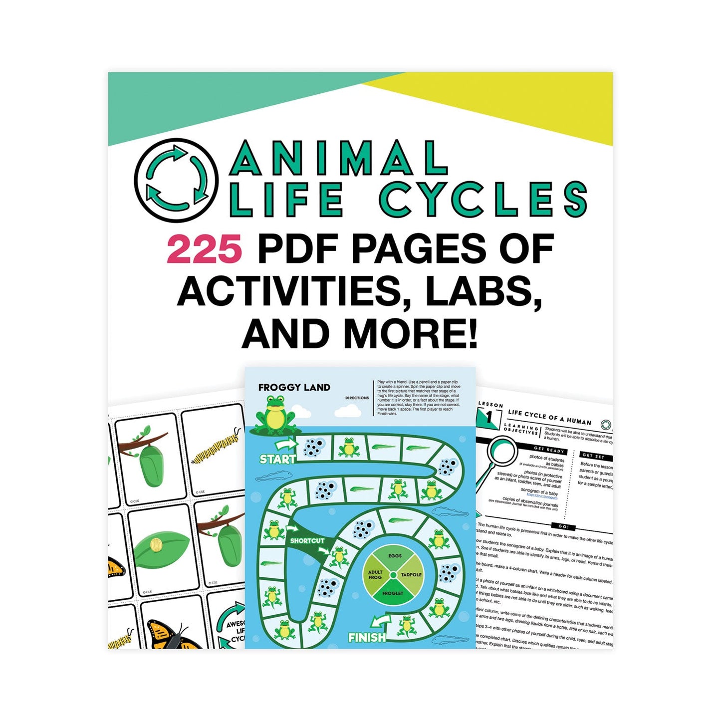 Carson-Dellosa Education In a Flash USB, Animal Lifestyles, Ages 5-8, 225 Pages