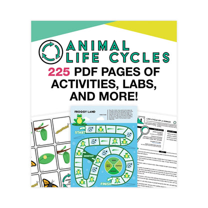 Carson-Dellosa Education In a Flash USB, Animal Lifestyles, Ages 5-8, 225 Pages