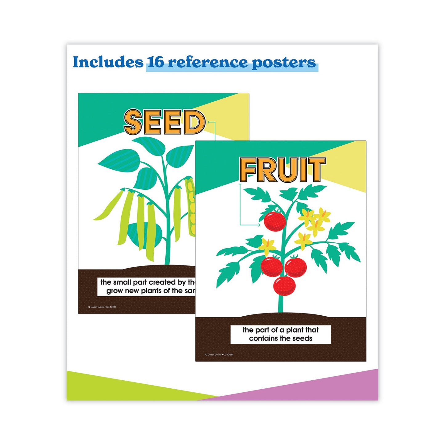Carson-Dellosa Education In a Flash USB, Plants, Ages 5-8, 191 Pages