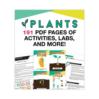 Carson-Dellosa Education In a Flash USB, Plants, Ages 5-8, 191 Pages