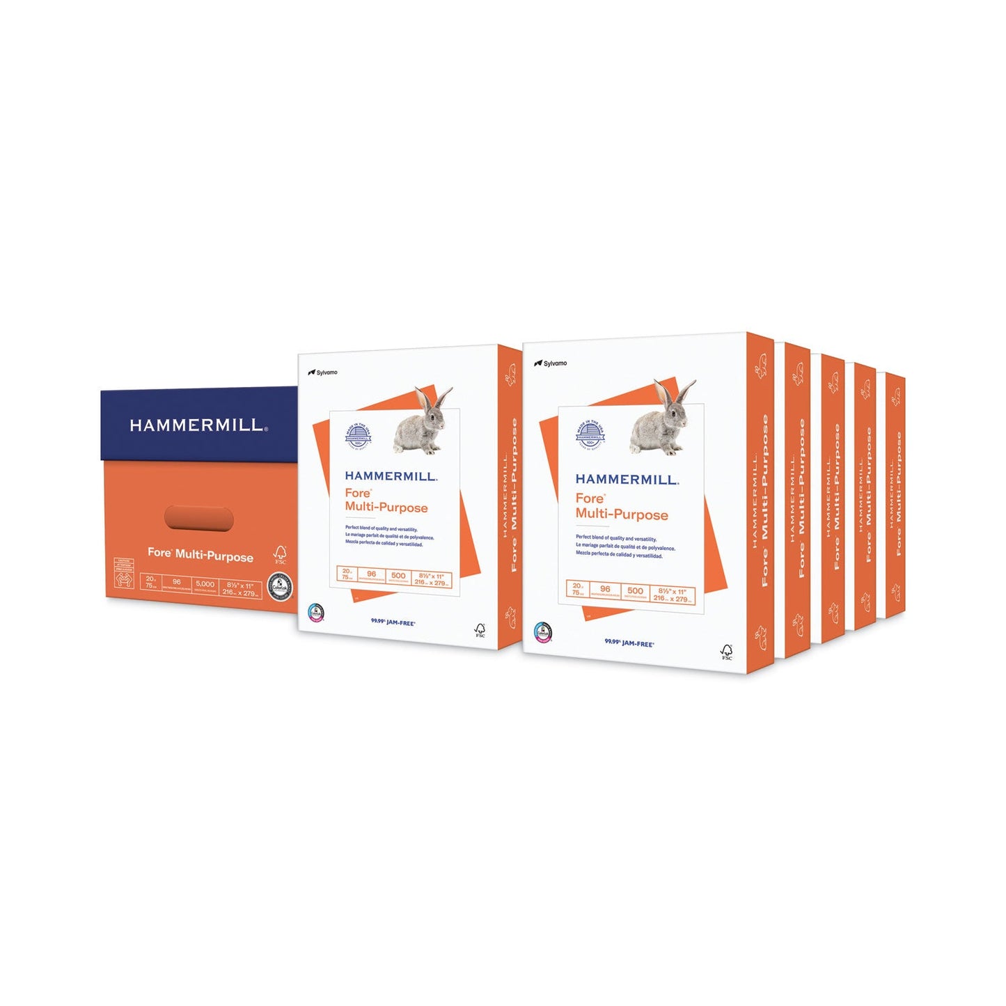 Hammermill Fore Multipurpose Print Paper, 96 Bright, 20 lb Bond Weight, 8.5 x 11, White, 500 Sheets/Ream, 10 Reams/Carton
