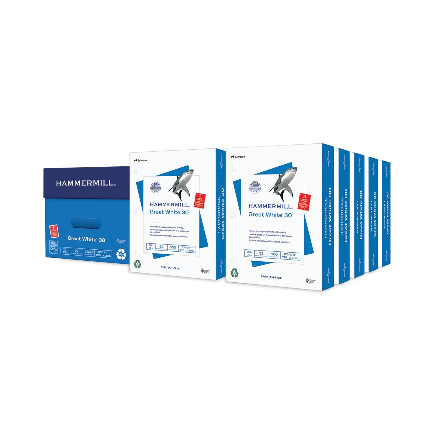 Hammermill Great White 30 Recycled Print Paper, 92 Bright, 3Hole, 20 lb Bond Weight, 8.5 x 11, White, 500 Sheets/Ream, 10 Reams/Carton