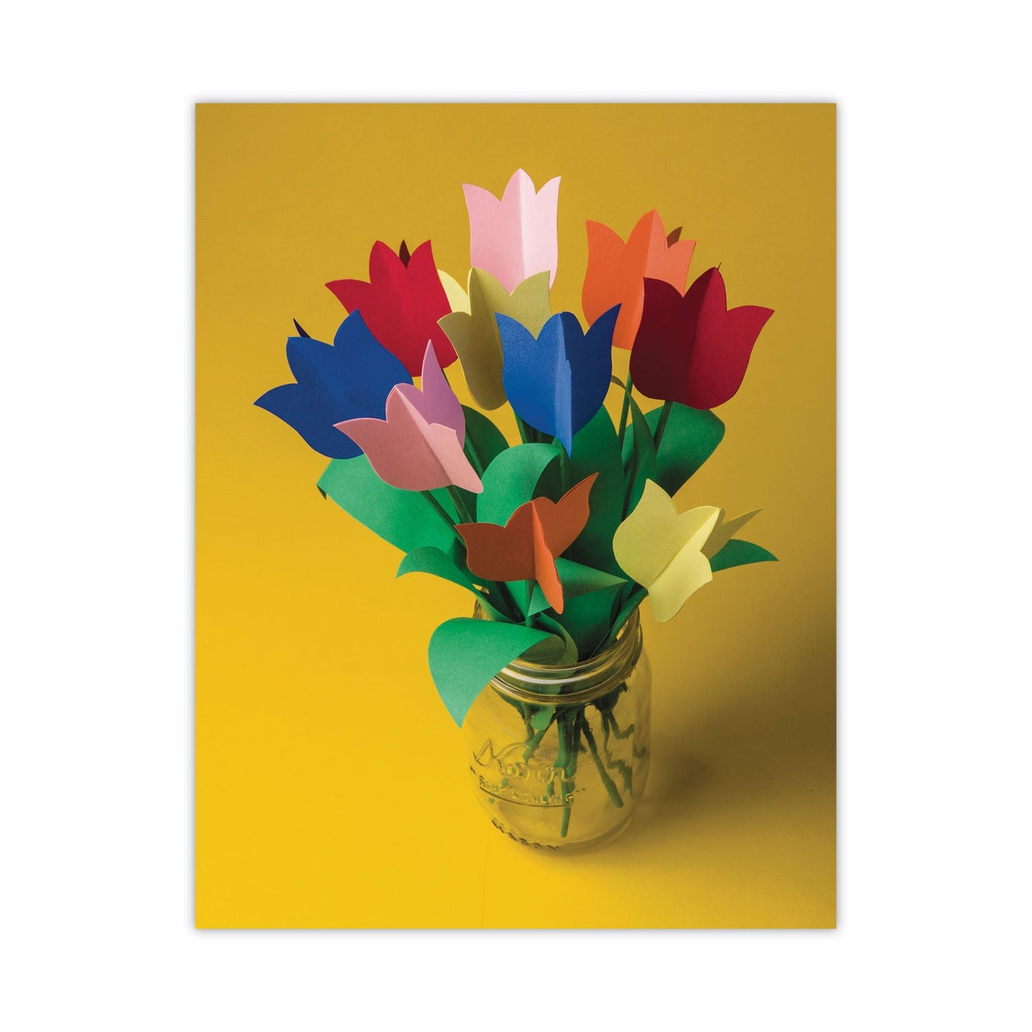 Pacon Tru-Ray Construction Paper, 76 lb Text Weight, 12 x 18, Assorted Standard Colors, 50/Pack