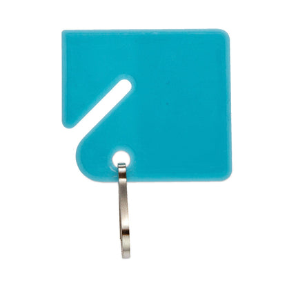 CONTROLTEK Key Tags, Blue/Green/Red/Yellow, 20/Pack, 3 Packs/Carton