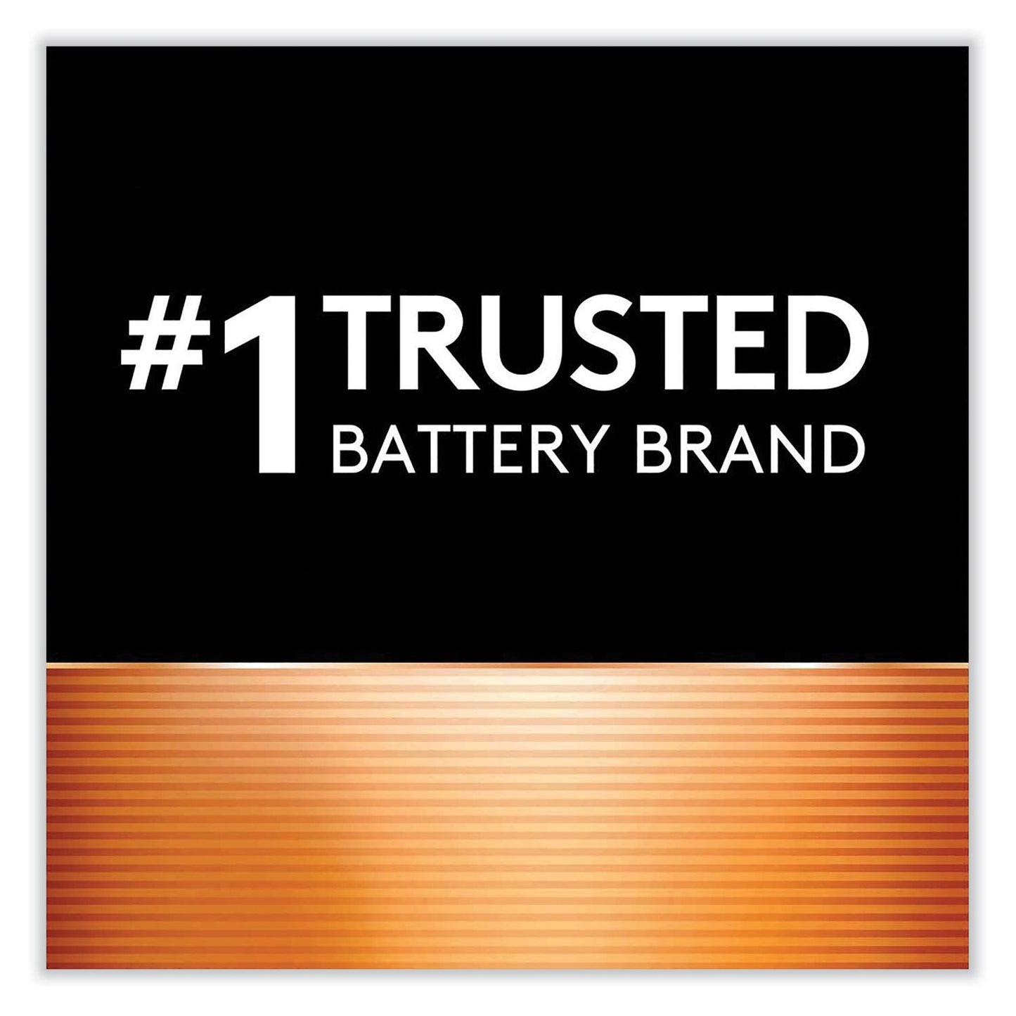 Duracell ION SPEED 4000 Hi-Performance Charger, Includes 2 AA and 2 AAA NiMH Batteries