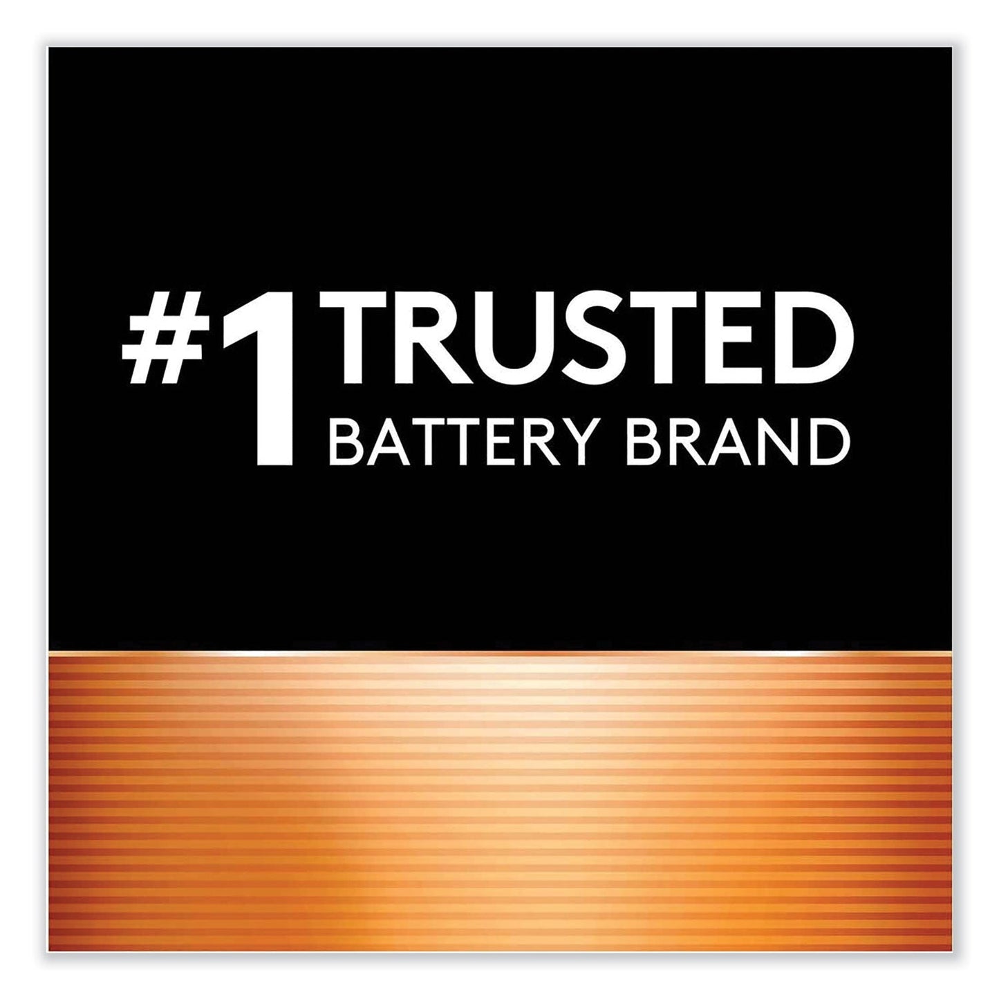 Duracell ION SPEED 1000 Advanced Charger, For AA and AAA, Includes 4 AA NiMH Batteries
