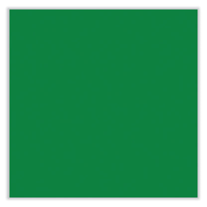 Sharpie Permanent Paint Marker, Medium Bullet Tip, Green, 12/Pack