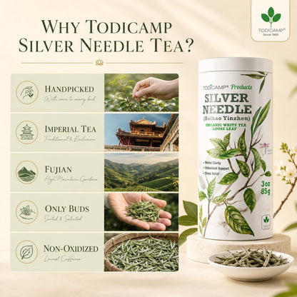 TODICAMP Premium Silver Needle Tea  3 oz of Premium White Tea Loose Leaf