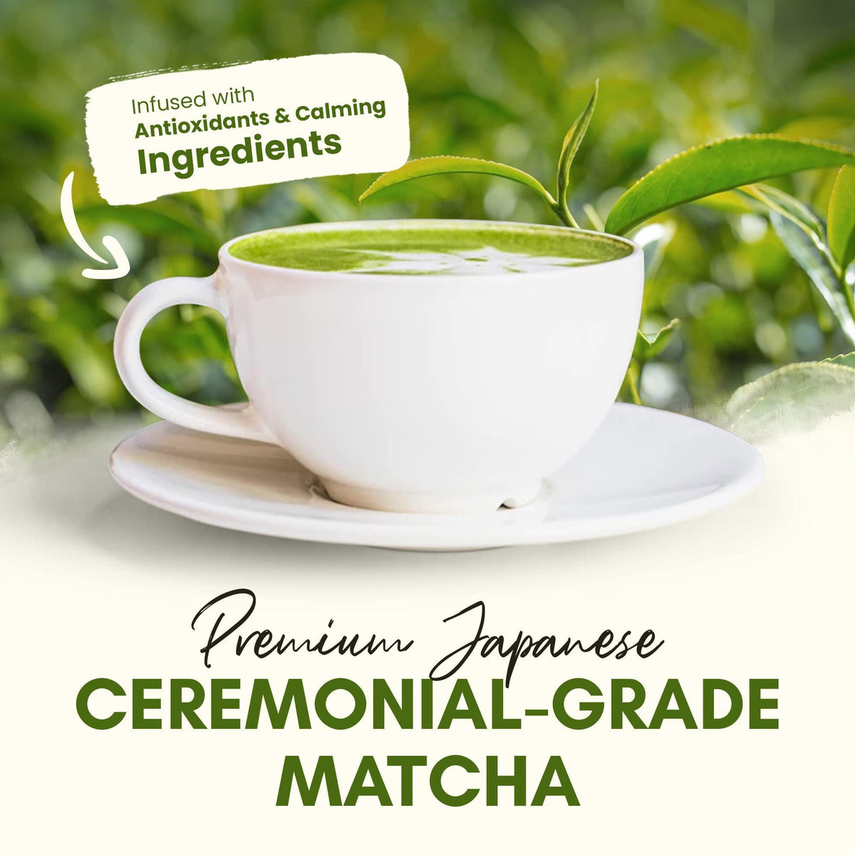 Zealthy Life   Organic Matcha Latte Pure Japanese Tea Blend with Ashwagandha & Maca Matcha Tea Powder with Natural Coconut Milk & Vanilla No Added Sugar 4.68 oz (45 Servings)
