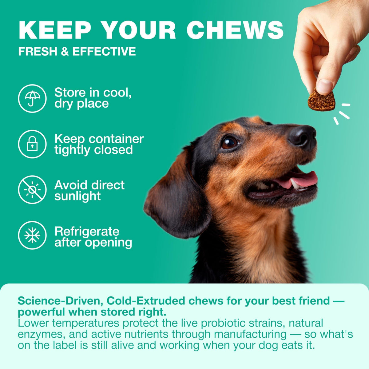 Probiotics for Dogs Gut & Digestive Health, Itchy Skin & Yeast Support