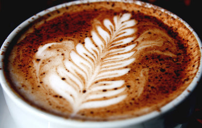 Hollander Chocolate - Sweet Ground Chocolate Powder