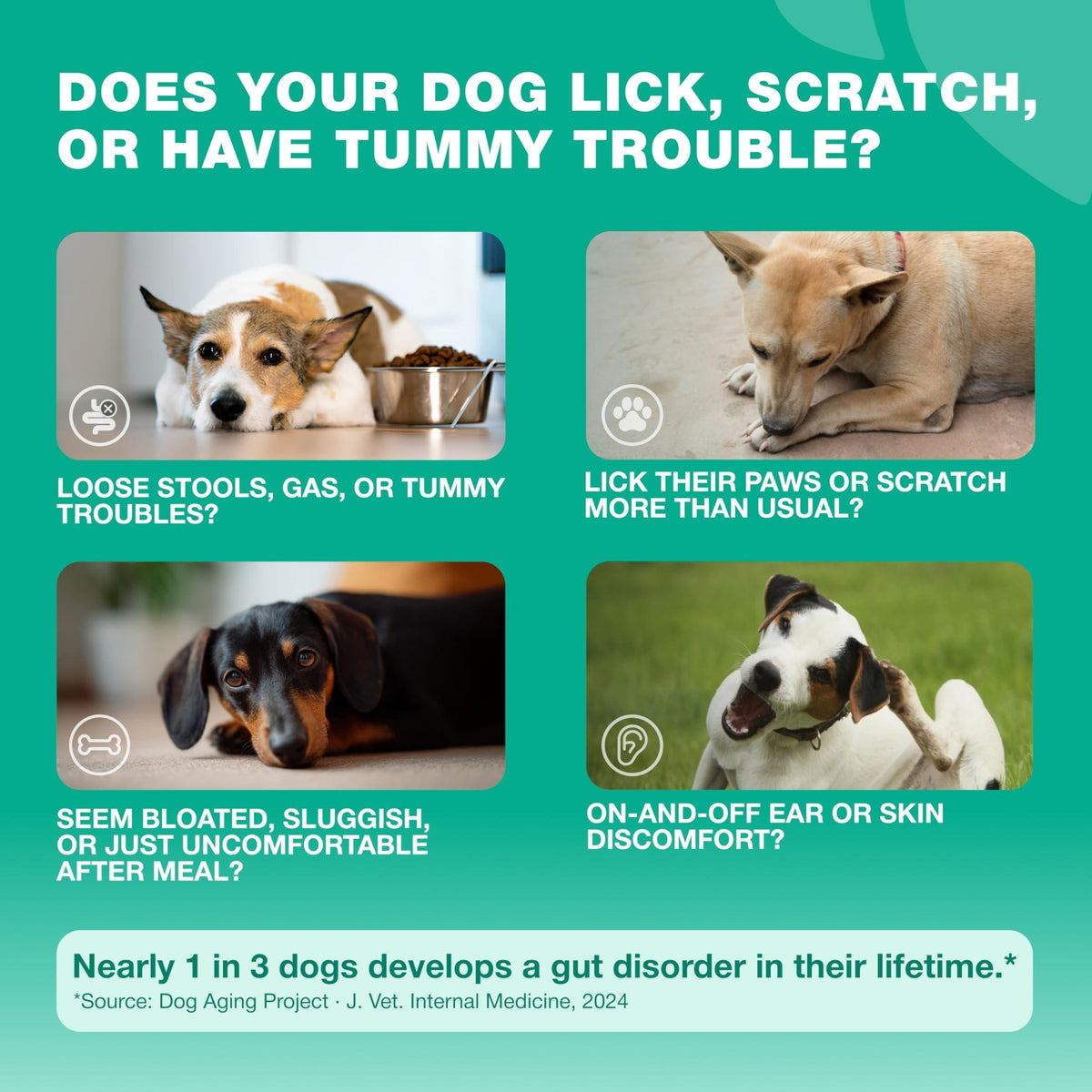 Probiotics for Dogs Gut & Digestive Health, Itchy Skin & Yeast Support